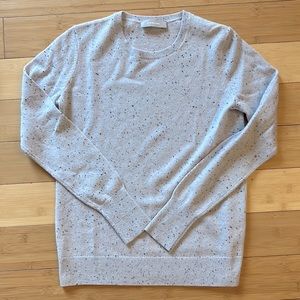 Everlane Cashmere Donegal lilac Gray Sweater